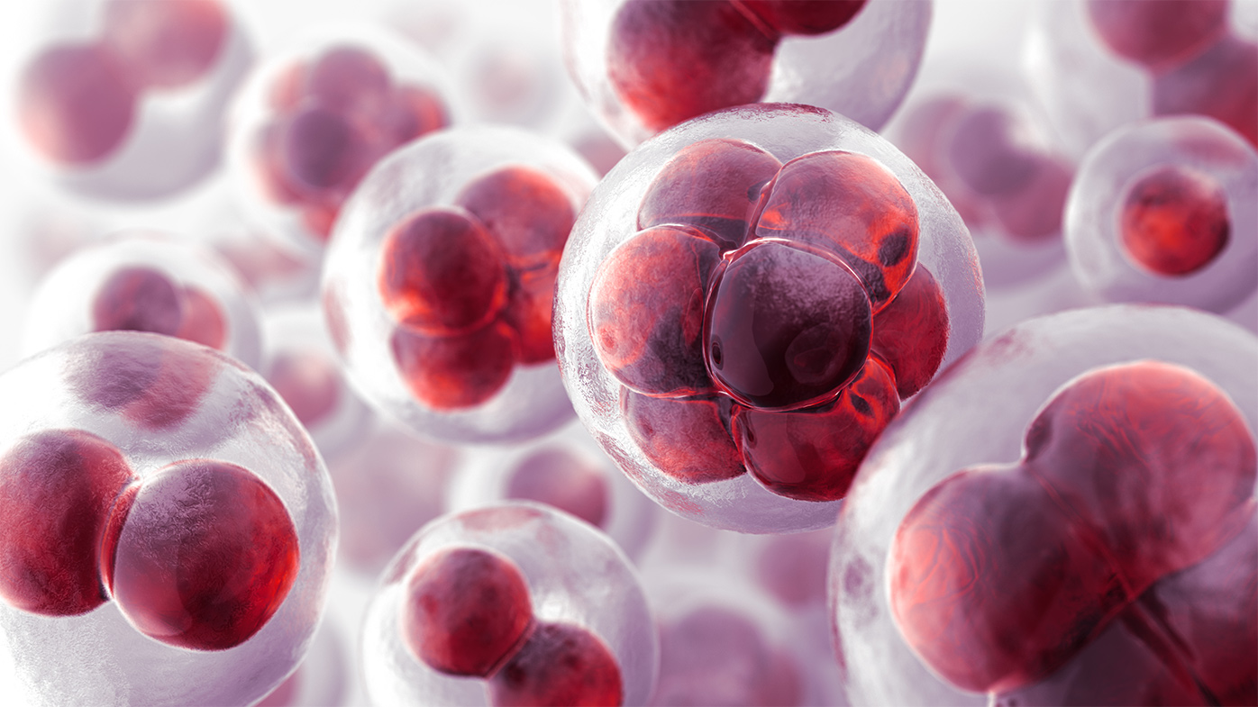 Cell Theraphy