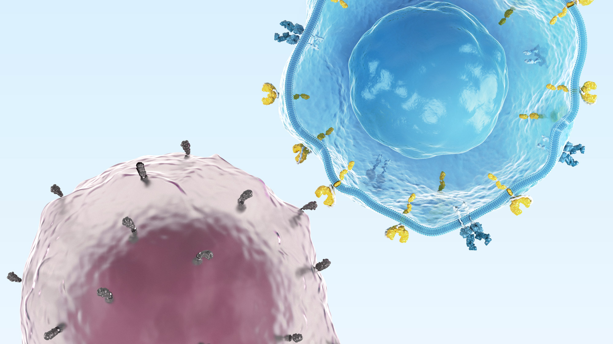 Today’s cell therapy insights shaping tomorrow