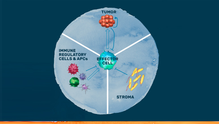  Immune Biomarkers in Oncology Research
