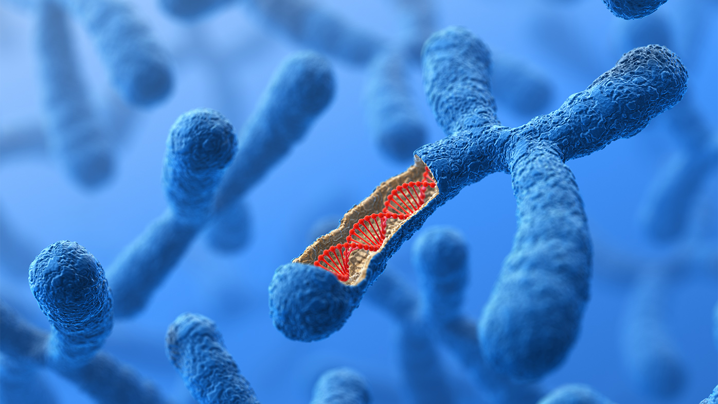 Research Technologies