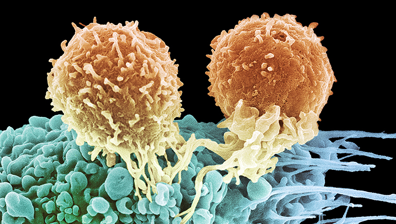 The #1 Challenge in Cancer Research