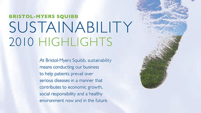 Sustainability 2010 Highlights